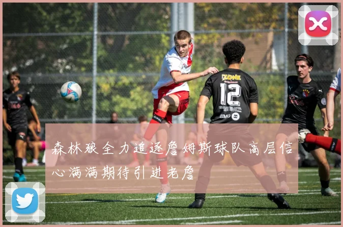 森林狼全力追逐詹姆斯球队高层信心满满期待引进老詹