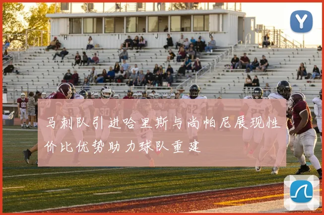 马刺队引进哈里斯与尚帕尼展现性价比优势助力球队重建